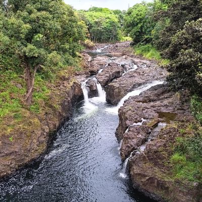 a river surrounded by trees