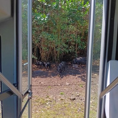 a sign in front of a window