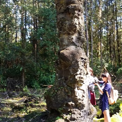 a man standing next to a tree