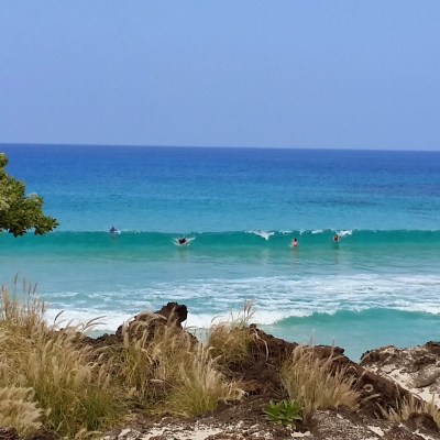 a group of people on a rocky beach next to the ocean
