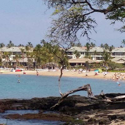 a crowded beach with palm trees