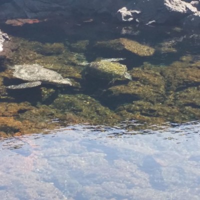 a snow covered mountain