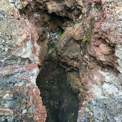 a close up of a rock